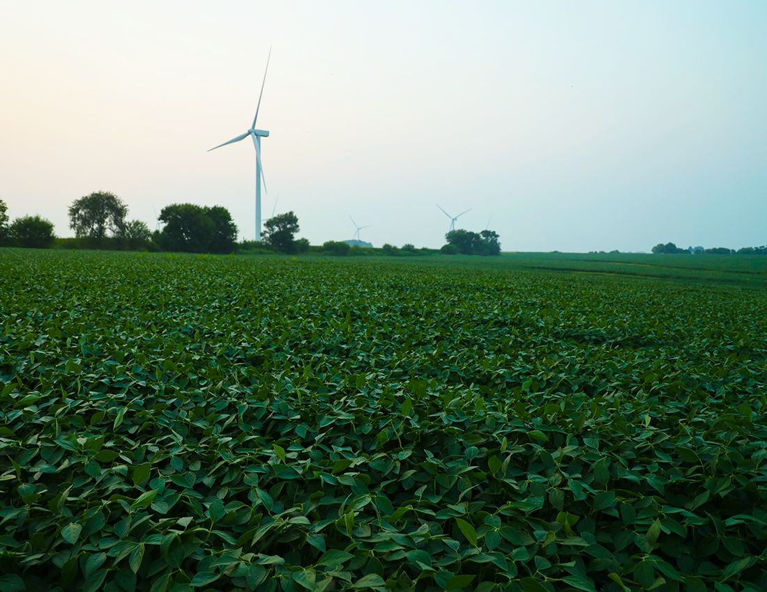 Listing Photo: Paw Paw Illinois Farm